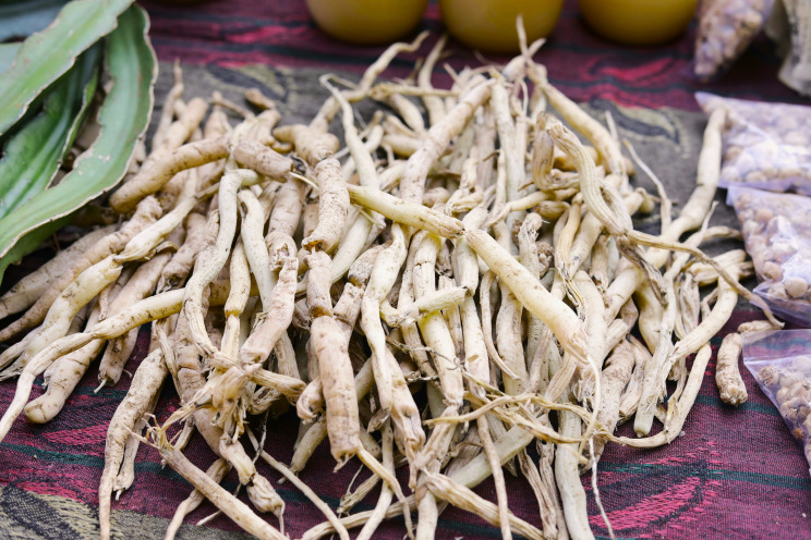 ashwagandha root herb